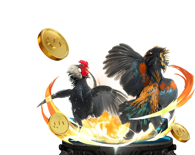 Tính năng bảo mật của vf555 casino