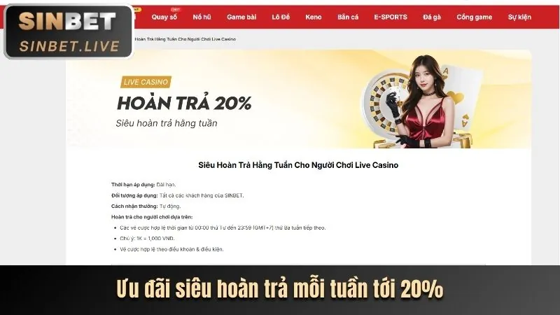 Lý Do Chọn vf555 casino